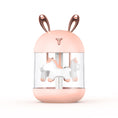 Load image into Gallery viewer, Carousel | Animal humidifier