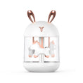 Load image into Gallery viewer, Carousel | Animal humidifier