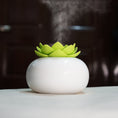 Load image into Gallery viewer, Multicolour Lotus humidifier