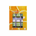 Load image into Gallery viewer, Essential oils - 6 pack