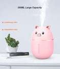 Load image into Gallery viewer, Pig | Rat | Bear humidifier