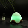 Load image into Gallery viewer, Svelte lamp humidifier