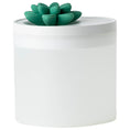 Load image into Gallery viewer, Green | Pink Lotus humidifier