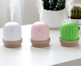 Load image into Gallery viewer, Cactus night light humidifier