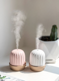 Load image into Gallery viewer, Cactus night light humidifier