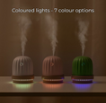 Load image into Gallery viewer, Cactus night light humidifier