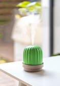 Load image into Gallery viewer, Cactus night light humidifier