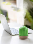Load image into Gallery viewer, Cactus night light humidifier