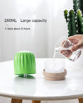 Load image into Gallery viewer, Cactus night light humidifier