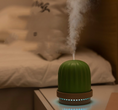 Load image into Gallery viewer, Cactus night light humidifier