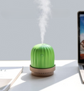 Load image into Gallery viewer, Cactus night light humidifier