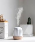 Load image into Gallery viewer, Cactus night light humidifier