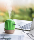 Load image into Gallery viewer, Cactus night light humidifier