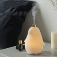 Load image into Gallery viewer, Emperor Penguin lamp humidifier
