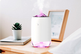 Load image into Gallery viewer, Night light humidifier
