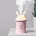 Load image into Gallery viewer, Rabbit humidifier
