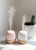 Load image into Gallery viewer, Cactus night light humidifier
