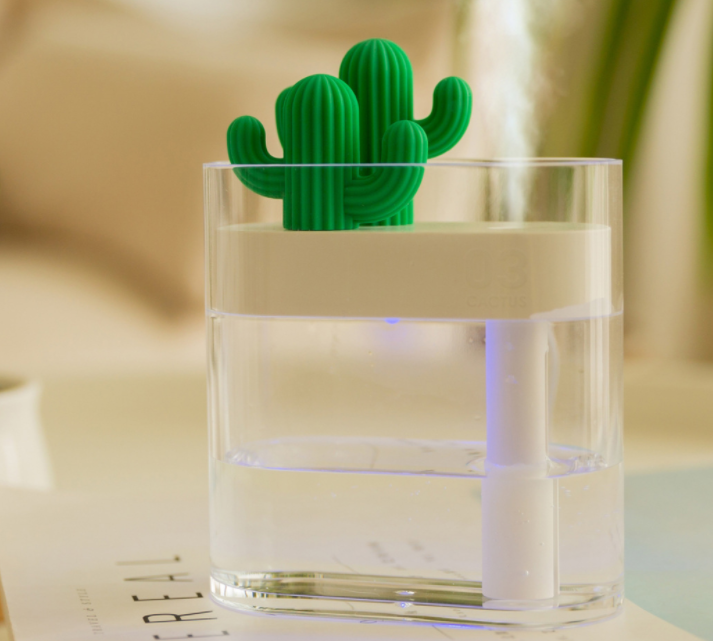 Transparent cactus humidifier